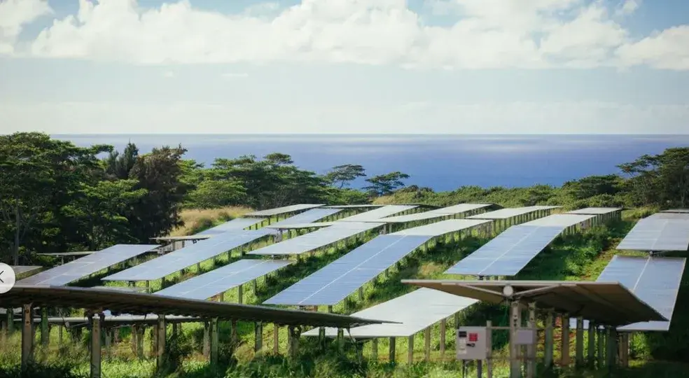 Brasil sediará fórum de energia solar em 2024, confirma Absolar