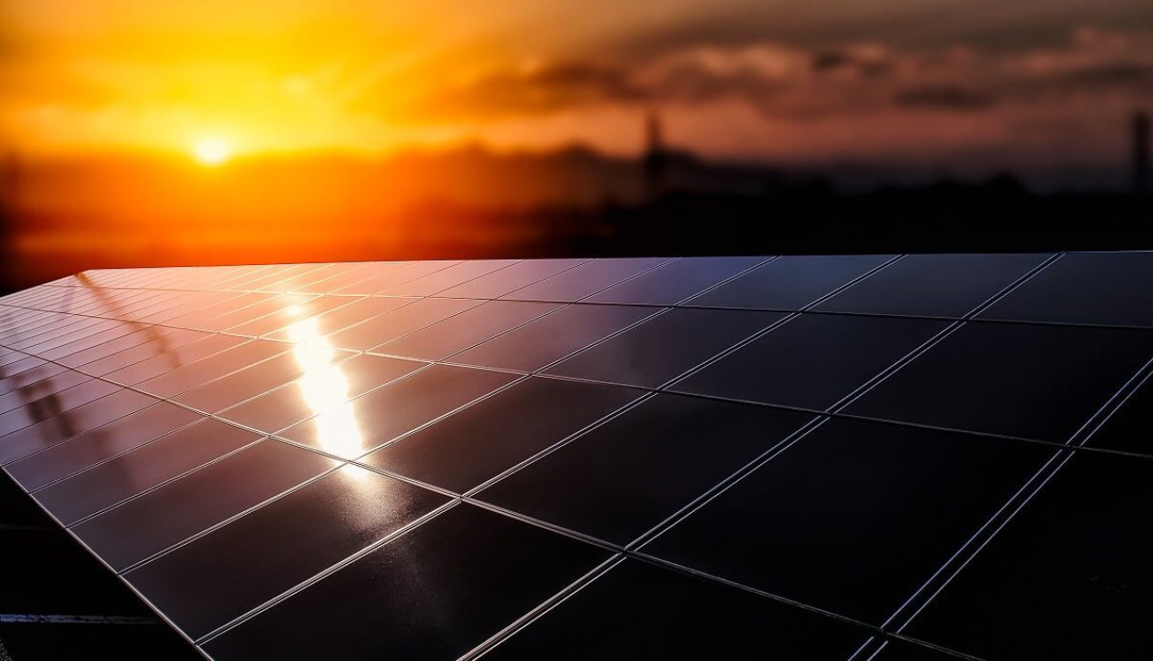 photovoltaic modules for renewable energy módulos fotovoltaicos para energia renovável