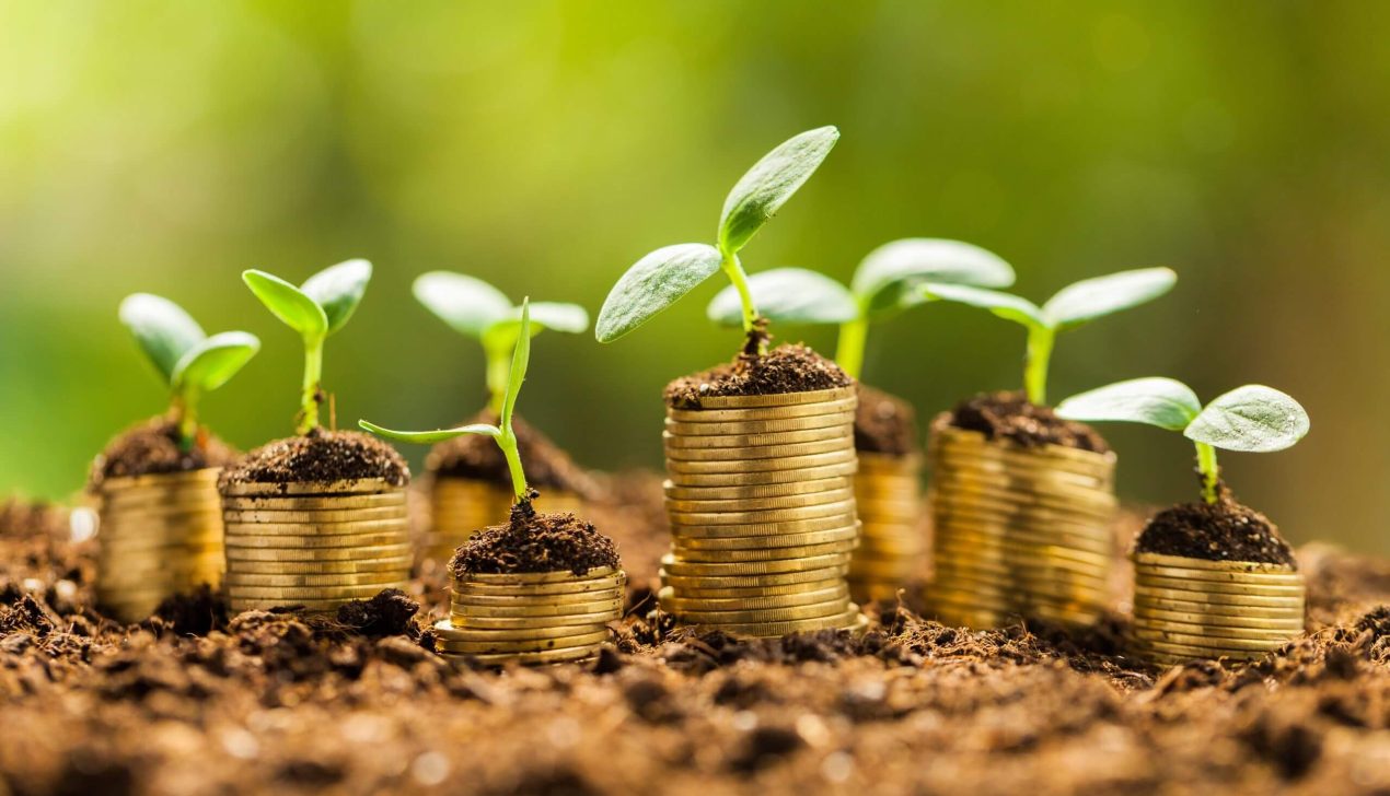 BNDES vai comprar R$ 8,7 milhões em créditos de carbono BNDES vai comprar R$ 8,7 milhões em créditos de carbono