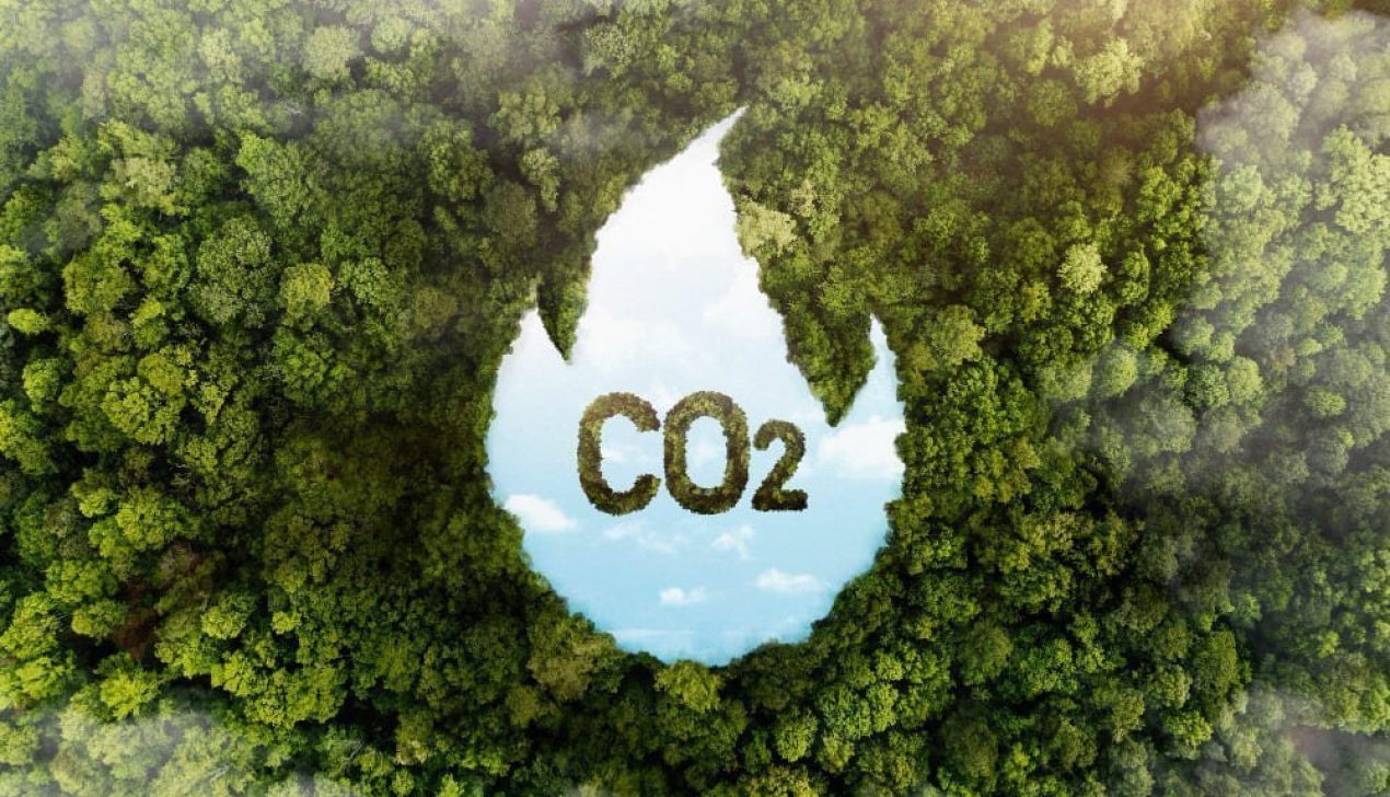 Energia solar evitou a emissão de 9 milhões de toneladas de CO2 em 2023 Energia solar evitou a emissão de 9 milhões de toneladas de CO2 em 2023