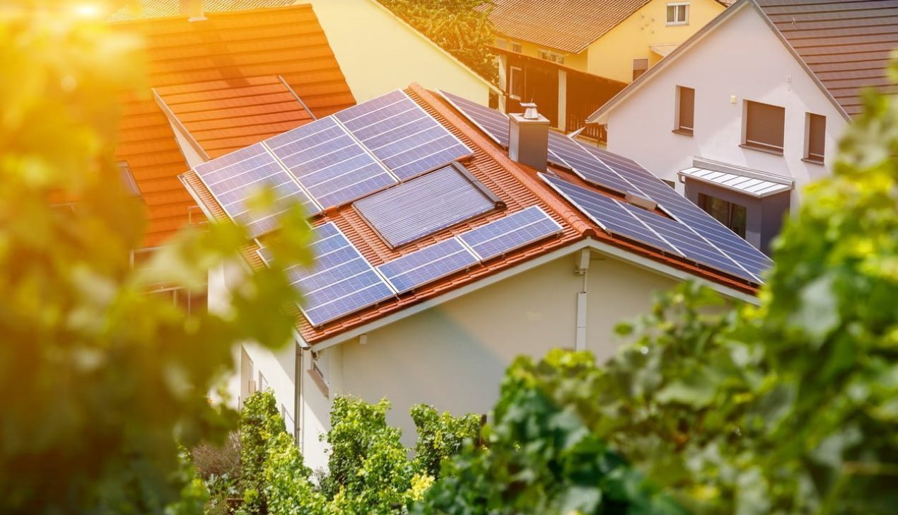 Solar panels on the tiled roof of the building in the sun. Top view through grape leaves. Selective focus. Solar panels on the tiled roof of the building in the sun. Top view through grape leaves. Selective focus. Blur