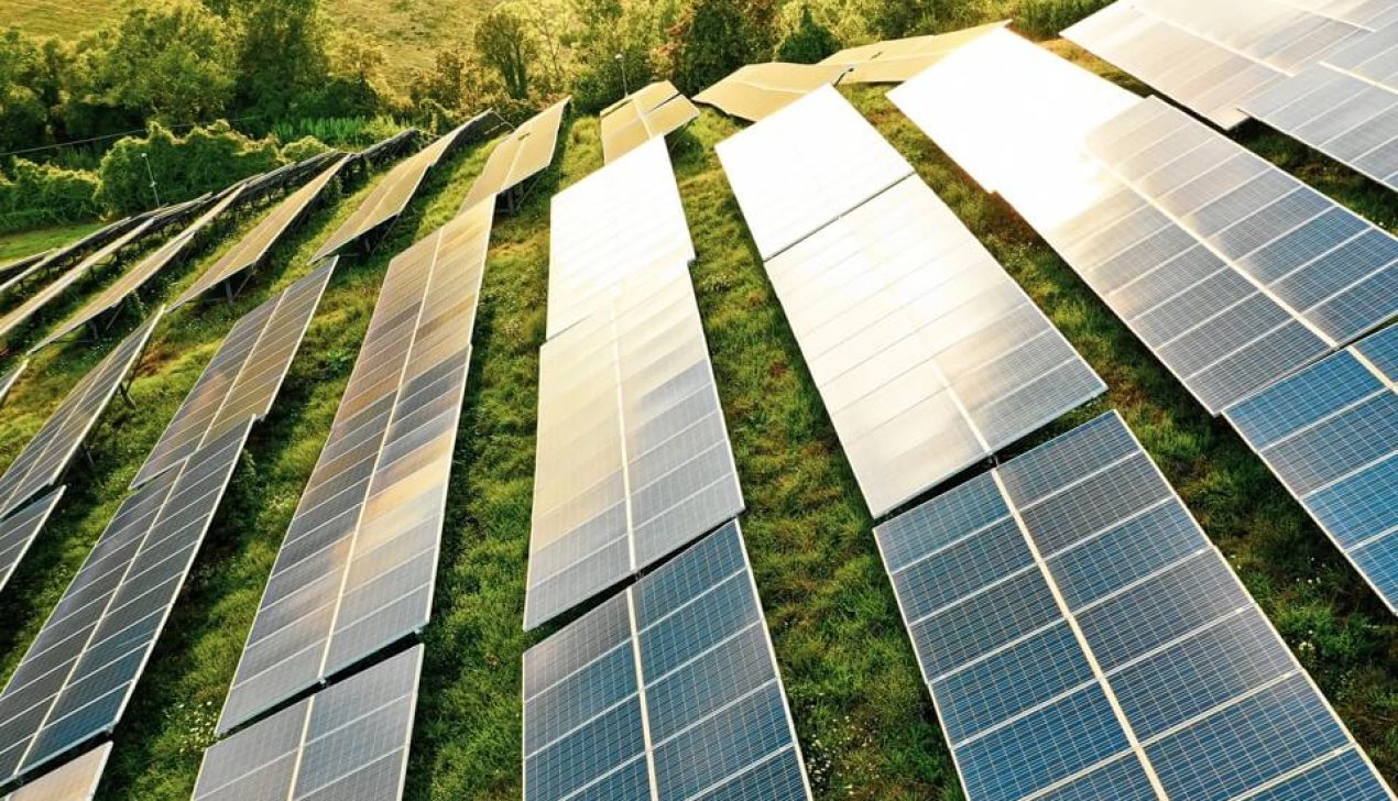 renewable6 renewable6